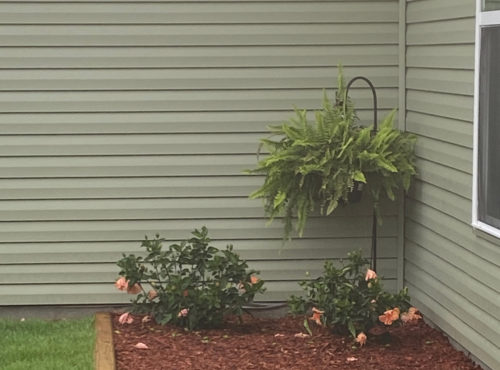 corner-of-duplex-in-garden