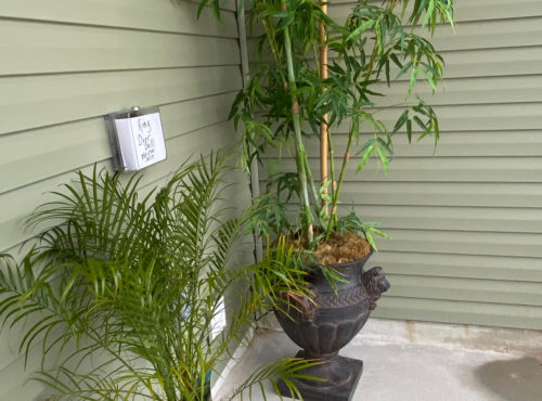 duplex-with-palms-in-front-porch