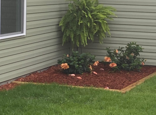 garden-area-duplex-corner